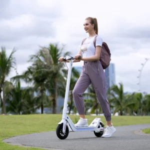 Great Electric Scooters