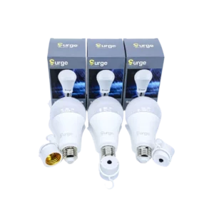 The Best  Bulbs