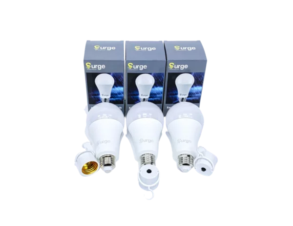 The Best  Bulbs